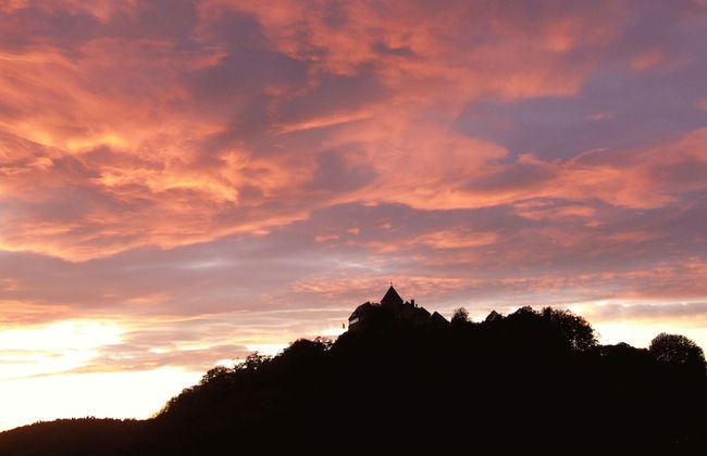 Friedrichs Ferienwohnungen - Foto 51