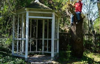 Weimar-Appartement - Foto 13