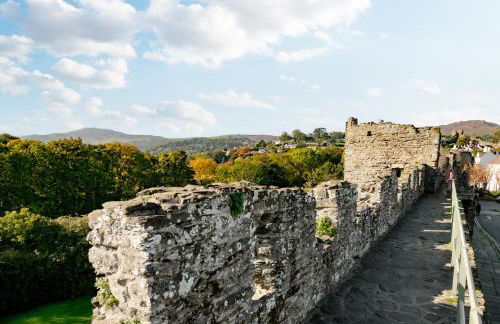 Coed y Felin - Foto 44