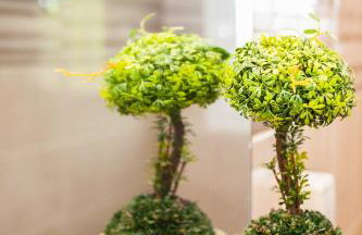 Tranquility House - Foto 24