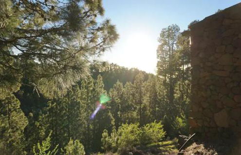 Tiny House Vogelnest - Foto 11