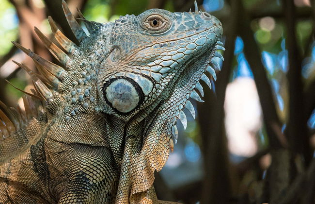 Tour por Ventanilla, Mazunte e Zipolite - Foto 1