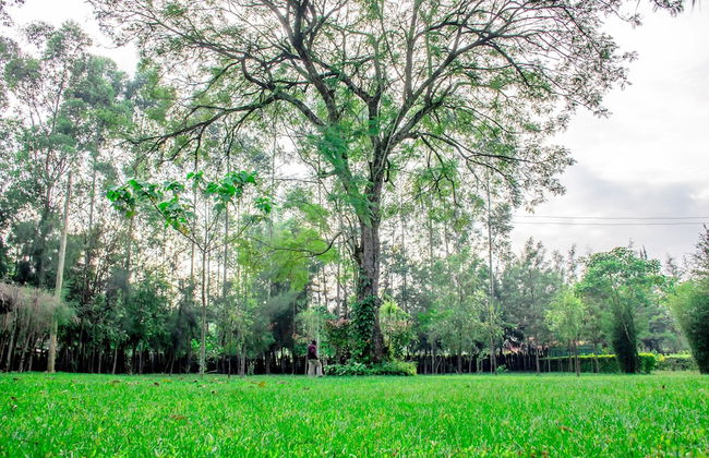 Mulembe Villa - Foto 22