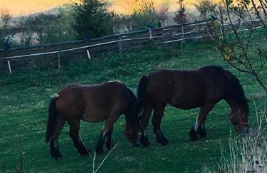 Apartamenty Pod Łysicą & SPA - przy stoku, basen, jacuzzi, sauna - Foto 117