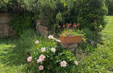 Monolocale La Mimosa - Foto 4