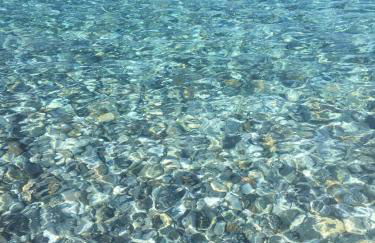 Brezza Marina - Foto 21