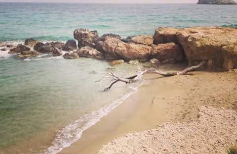 ZIROS Guesthouse - Foto 23