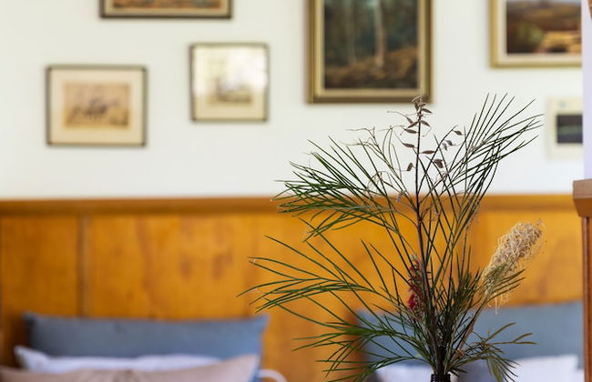 The Mainstay - Photo 61