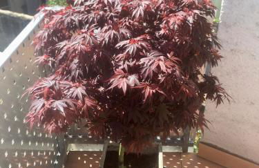 Ferienwohnung Nägler - Foto 9