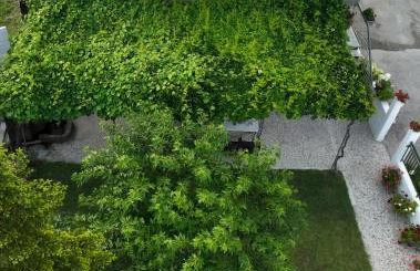 Xrysa's House - Foto 19