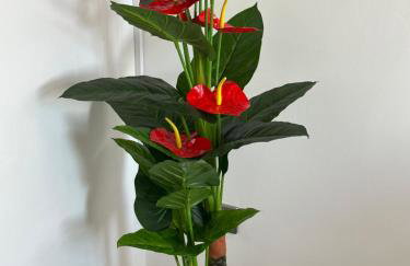 2 bedroom flat close to Manchester City, Manchester City stadium and Coop Arena - Foto 34