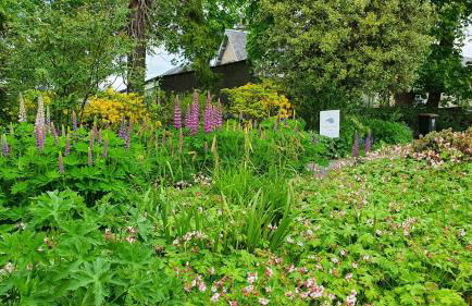 Willows Apartment - Foto 17