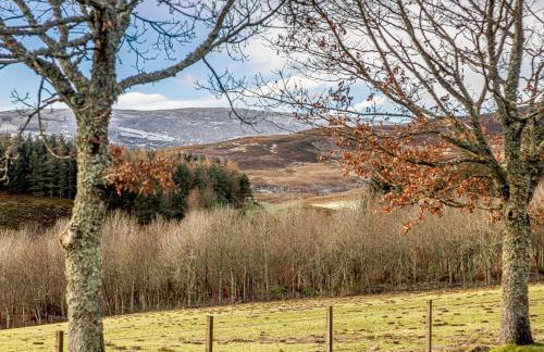 2 Bed in Kirriemuir 80719 - Foto 17