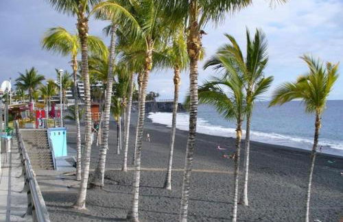 Vivienda Apartamento Gallo Playa Puerto Naos - Foto 10