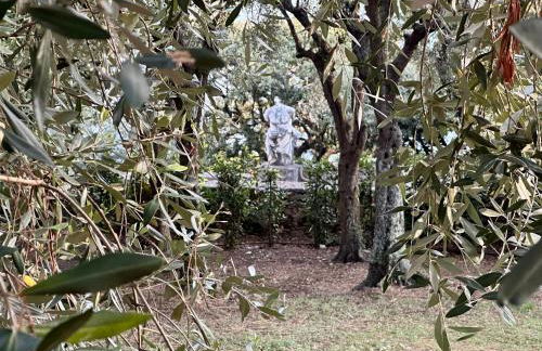 Giardino in villa Margherita - Foto 53