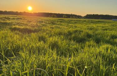 Q80 Appartement - Foto 51