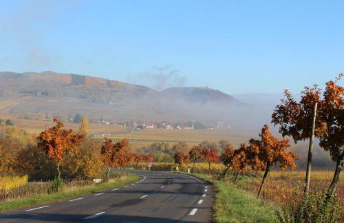 Maison Gîte Au Tonnelier - Foto 59