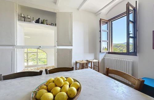 Casa Belvedere di Bolgheri - Foto 14