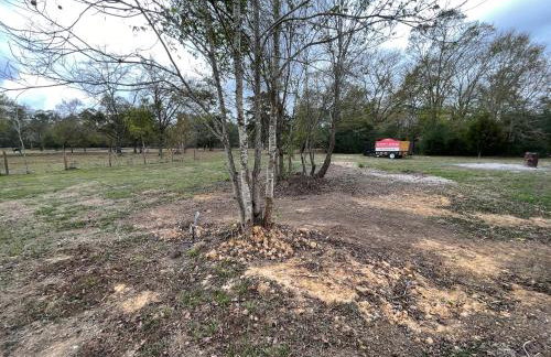 Country Oasis - Entire Home - Foto 26