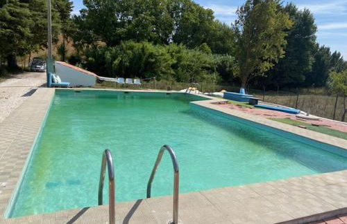 Santuário SOS Animal - Foto 46