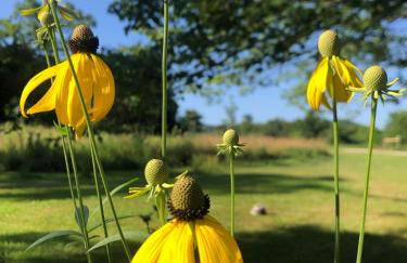 The Barn House - Foto 27