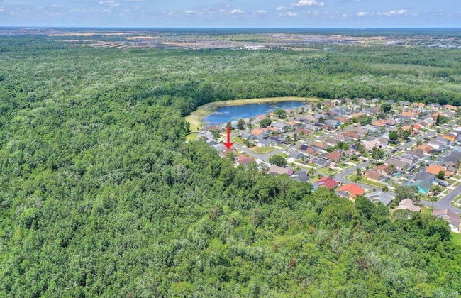 2811 Lindfields - Foto 60