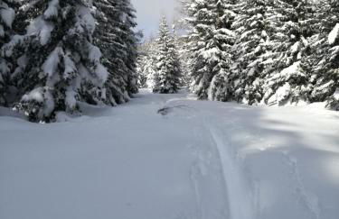 Cevedale-Valdisole - Foto 45