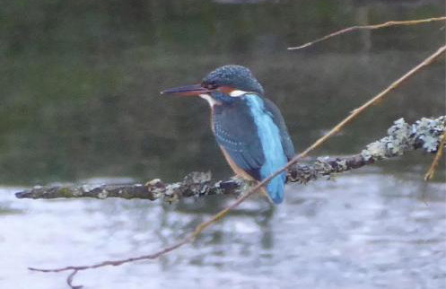 The Piggery Dulverton - Foto 49