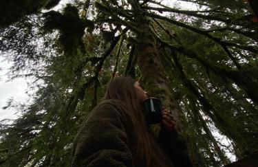 Mt Pilchuck River Cabin - Foto 27