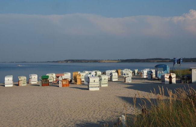 Muschelhus Comfortable Holiday Residence - Foto 14