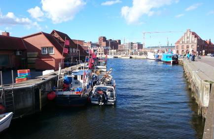 Idyll im Land der 1000 Seen - Foto 48