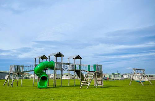 Little Curlew, Ynyslas, Borth - Foto 23