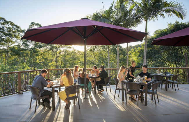 Kondalilla Eco Resort - Foto 72