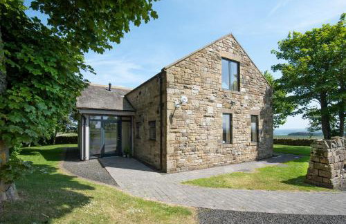 Vesta View - Photo 6