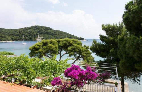 Apartmetns Franka Saplunara-One-Bedroom Apartment with Terrace and Sea View No2 - Foto 12