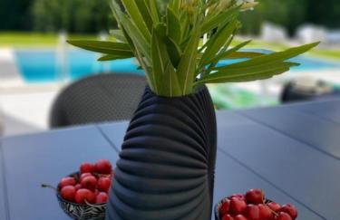 Villa Destiny Nedescina, Istrien, Kroatien - Foto 12