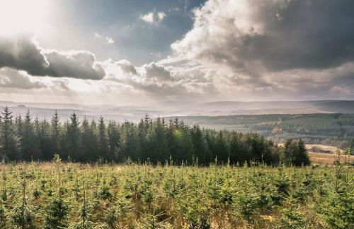 Idyllic Grade II Listed country farmhouse in AONB - Foto 47