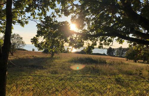 Ferienwohnung Zickersche Berge - Foto 23