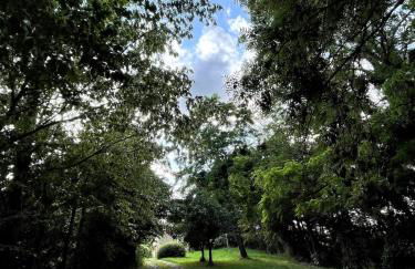 Loue maison dans le Perche - Foto 6