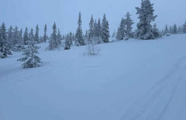 8 Person Holiday Home in Salen-by Traum - Foto 30