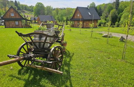 Osada Strusie Jajo w Bieszczadach - Foto 4