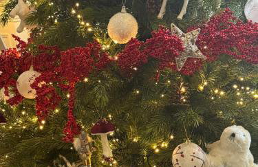 The Westlynne Apartments - Foto 9