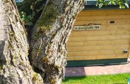 Pieśń Poranka Domek - Foto 6