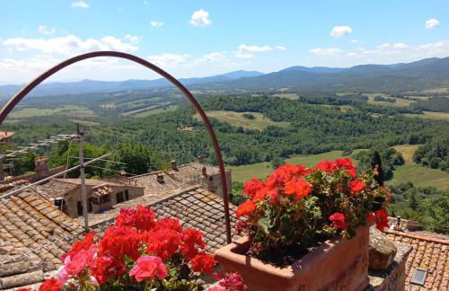 La Casa del Gallo - Foto 13