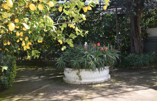 De Gregorio - Foto 6