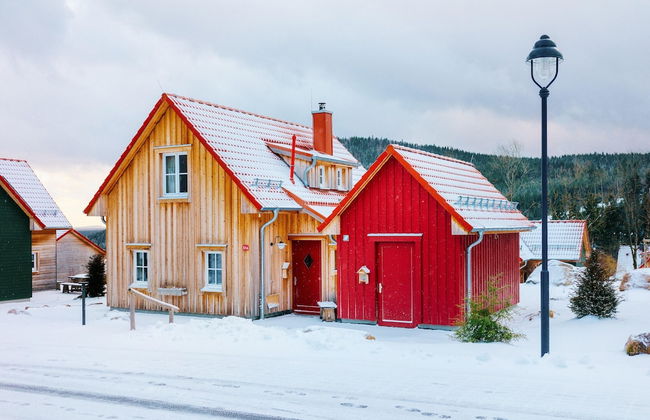 Holiday Homes in the Schierke Harzresort, Schierke - Foto 66