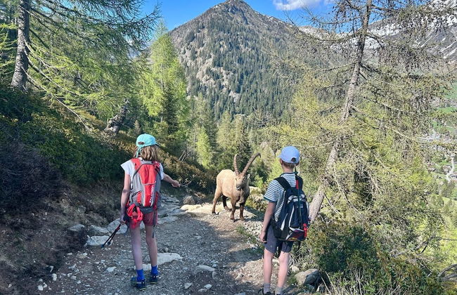 Chez Charles | Vallorcine Viachamonix - Photo 49