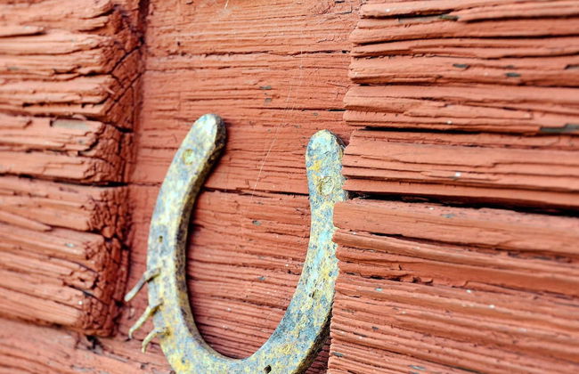 Holiday Home in Väddö - Photo 11