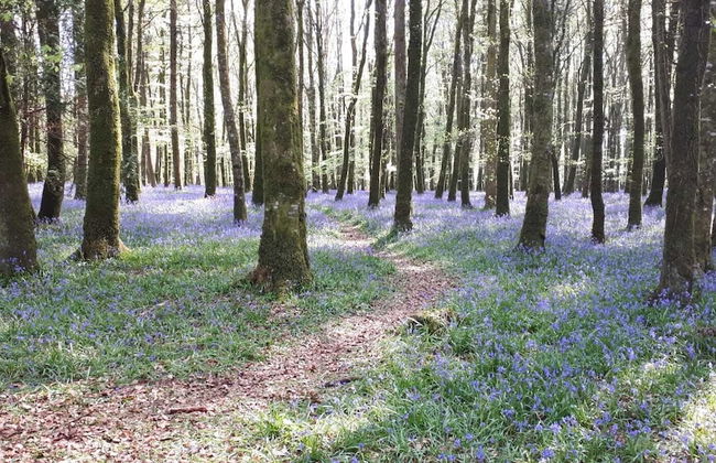 Mullach Cottage - Foto 25