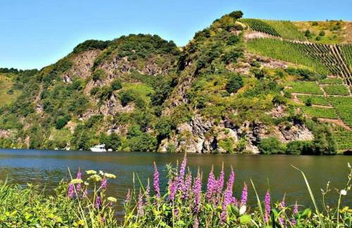 Ferienwohnung Moselnest - Foto 9